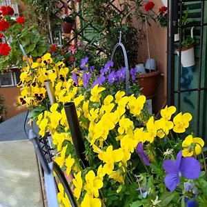 Apartament Casa Il Gelsomino, Bolonia